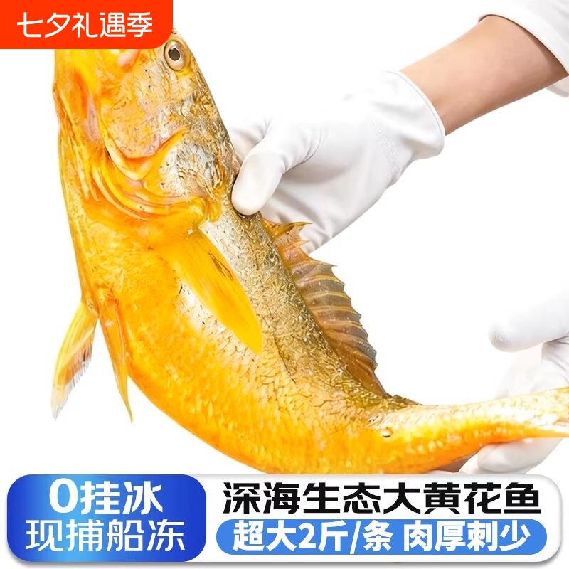 黄花鱼新鲜冷冻大黄鱼鲜活深海小黄鱼半野生年货海鲜2斤一条水产