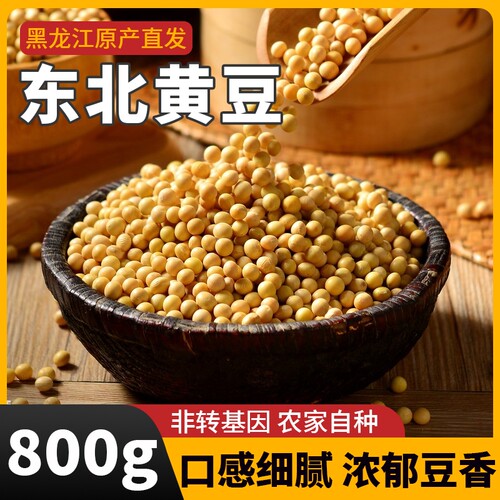 黄豆打豆浆专用三彩侬当季新豆东北农家自种非转基因大豆