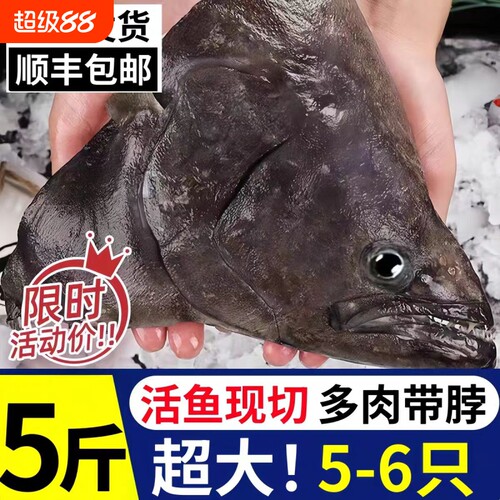 碟鱼头冷冻鲽鱼头鸦片鱼头深海新鲜比目鱼商用批发蝶鱼头海鲜鱼身