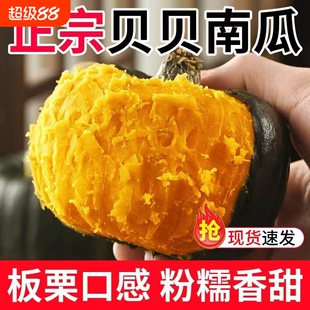 正宗山东贝贝南瓜净重4.5斤