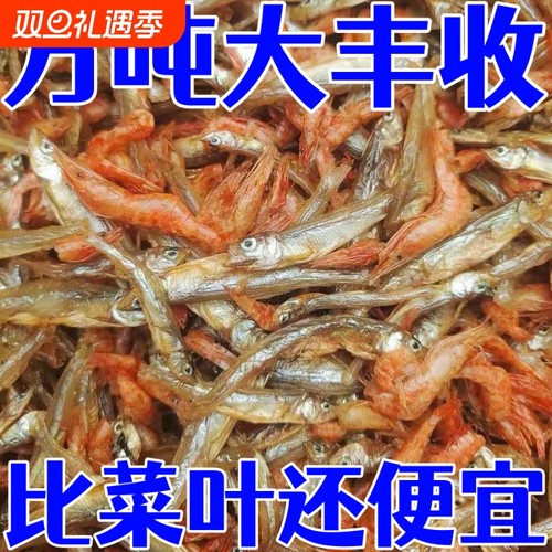 小鱼小虾农家自制白条鱼小虾干货