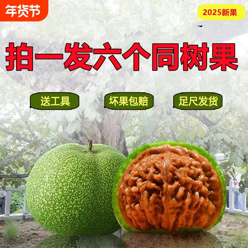 文玩核桃青皮绿闷尖四座楼麒麟纹官帽盘龙白狮子苹果园满天星虎头