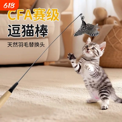 猫玩具CFA赛级逗猫棒幼猫斑点