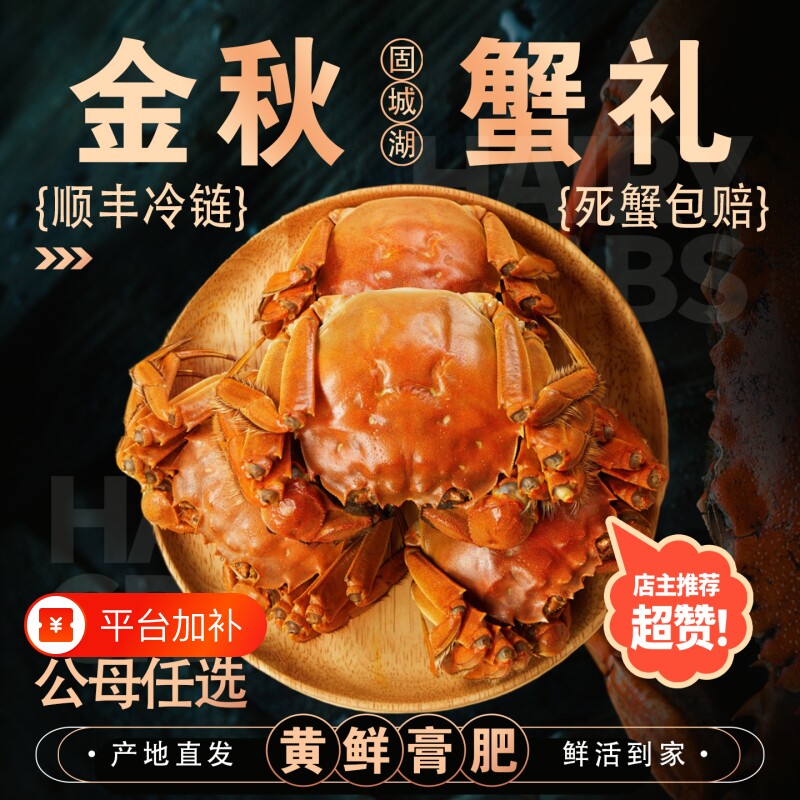 大闸蟹螃蟹鲜活母蟹礼盒国庆固城湖螃蟹河蟹毛蟹顺丰次日达特大