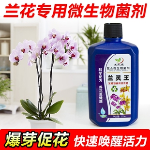 兰灵王兰花专用菌肥营养液促花多箭兰科蝴蝶兰君子兰灵王活化剂