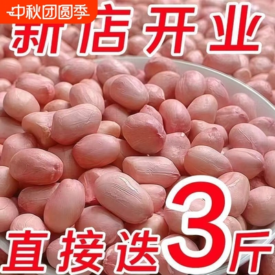 太便宜新货花生米精选无壳白沙花生米粉皮新鲜生花生大颗粒吃货