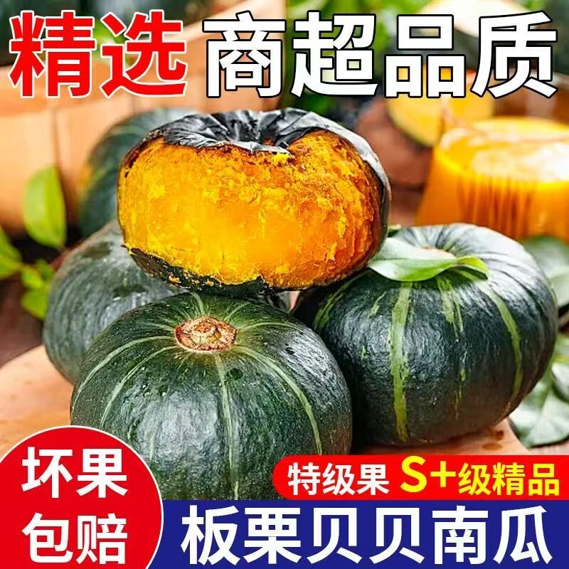 正宗贝贝南瓜净重4.5斤