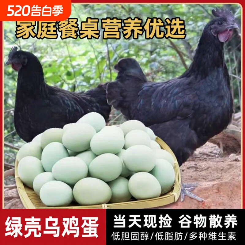 乌鸡蛋正宗农家散养20枚大别山虫草笨鸡蛋跑山鸡蛋绿壳土鸡蛋新鲜