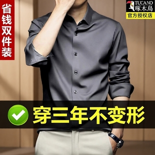 高级感内搭秋季 免烫商务休闲真丝高端西装 男长袖 啄木鸟桑蚕丝衬衫