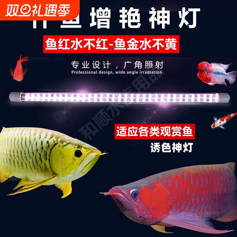 仟鱼神灯龙鱼专用灯增艳增色金龙红龙鱼灯鹦鹉潜水防水led鱼缸灯