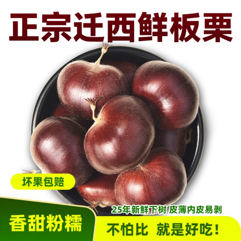 迁西生板栗生栗子正宗燕山油栗子新鲜板栗生新鲜好去皮