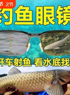 专业钓鱼射鱼眼镜看鱼看漂看水底日夜两用开车用德国偏光夜视高清
