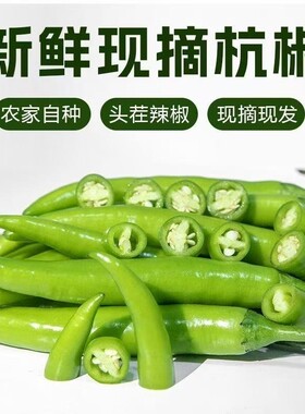 2026正宗杭椒青皮尖青椒小青椒绿皮辣椒农家自种时令蔬菜旗舰店