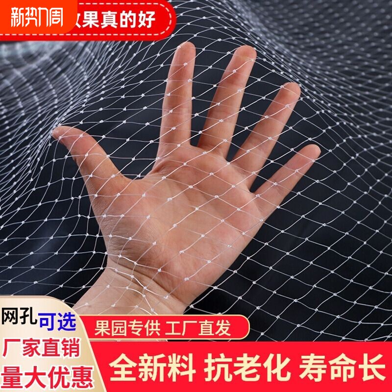 防鸟网果园果树防鸟罩阳台葡萄用的天网防护神器小鸟鱼塘种植养殖