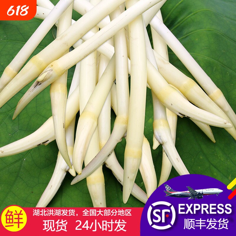 【顺丰包邮】洪湖藕带藕尖藕肠子当季时令蔬菜藕带新鲜洪湖莲藕带