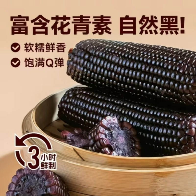东北黑糯玉米真空包装新鲜糯玉米黄玉米粗粮代餐软糯香甜玉米黄糯