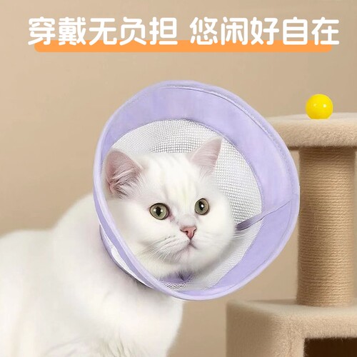 伊丽莎白圈宠物头套狗圈猫圈宠物脖套防咬打针项圈防舔宠物用品