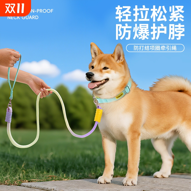 狗狗牵引绳梦幻渐变晕染P绳防爆冲训犬狗链中型犬牵引绳栓狗绳子