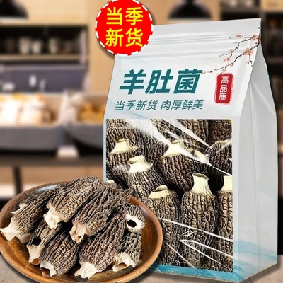 果官宣头茬羊肚菌新鲜干货无硫菌菇农家优质煲汤食材新货食用家用