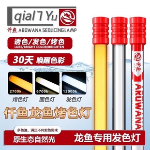 nec龙鱼专用6700K发色灯增色仟鱼三基色鱼缸灯红龙金龙鱼灯潜水灯