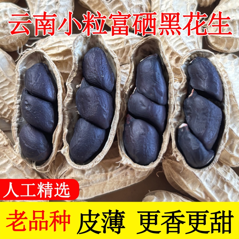云南富硒黑花生带壳晒干黑花生新货黑花生仁精选黑皮花生米5斤