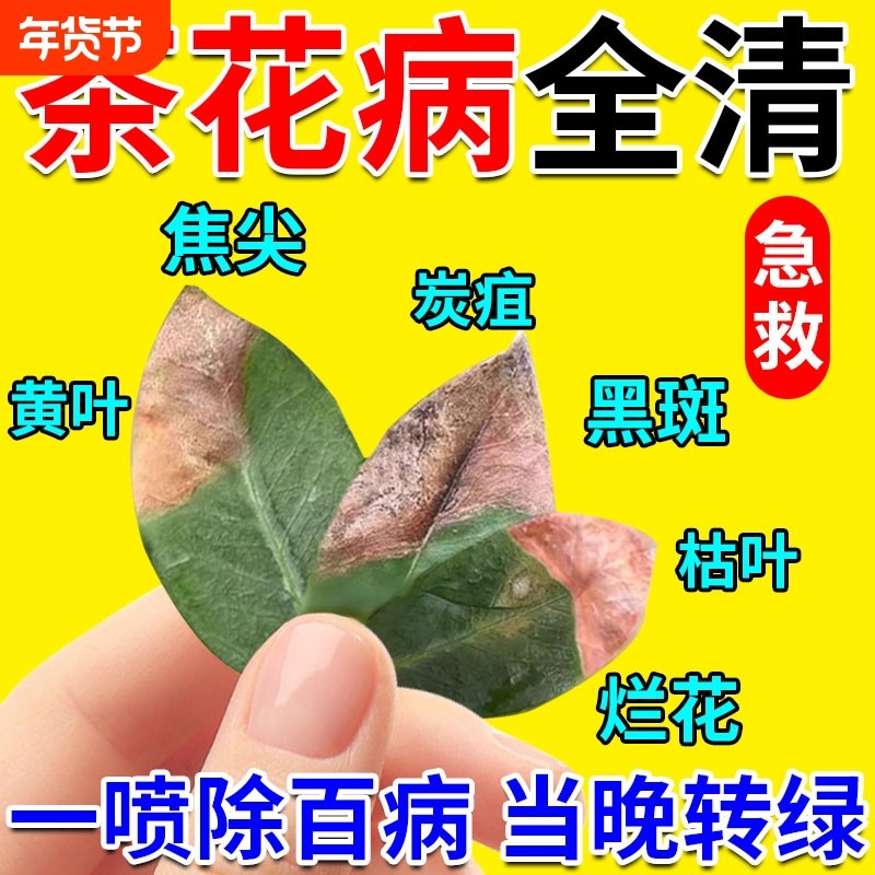 茶花叶枯病专用药炭疽病杀菌药防枯叶黄叶焦尖营养液肥植物叶斑病,鲜花速递/花卉仿真/绿植园艺,家庭园艺肥料,淘宝优惠券,粉丝福利购,淘宝优惠卷