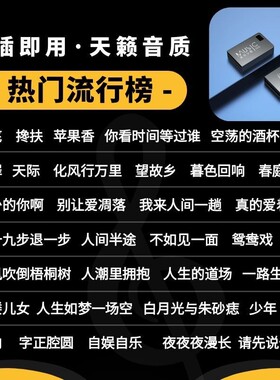 车载音乐U盘无损WAV热门抖音精选新歌流行DJ高音质MP3车用高速