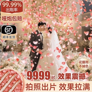 结婚礼炮花瓣手持礼花喷花筒婚礼专用手拧式 粉色彩带婚庆用品大全
