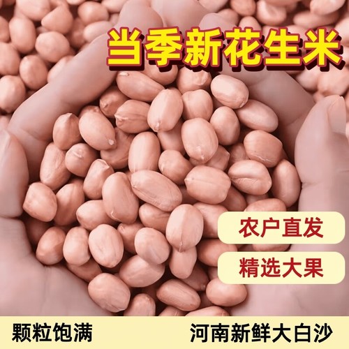 精选大颗粒2025年新上市花生米农家自产河南新鲜大白沙生花生去壳