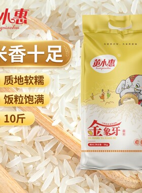 黄小惠大米金象牙香米长粒新鲜