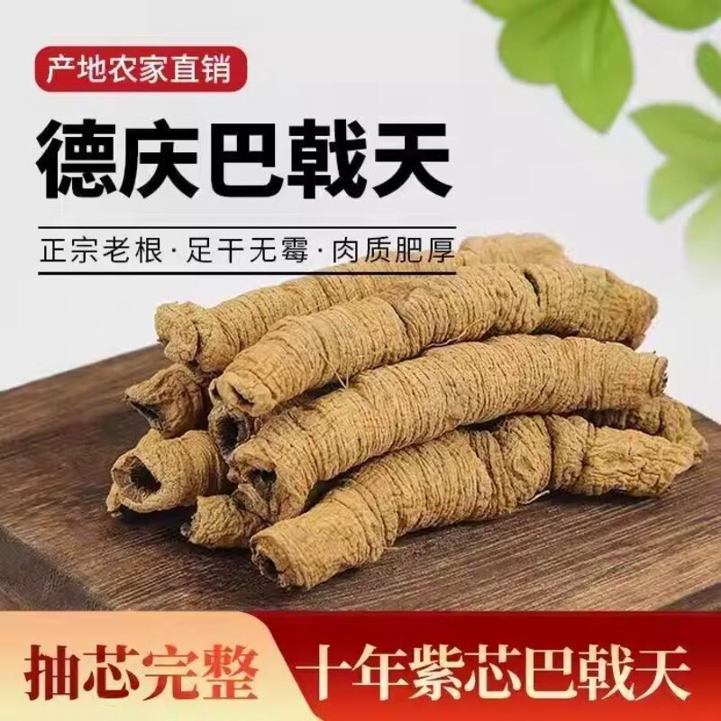 广东德庆巴戟天中药材正品官方旗舰店搭配杜仲牛大力泡酒煲汤材料
