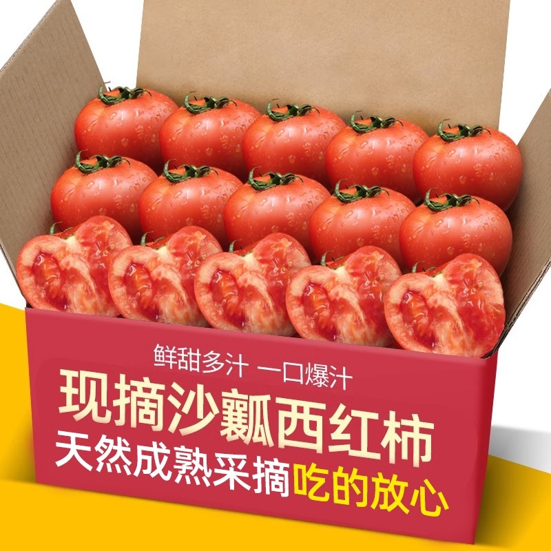 正宗高山种植自然熟沙瓤水果西红柿新鲜蔬菜农家普罗旺斯小番茄