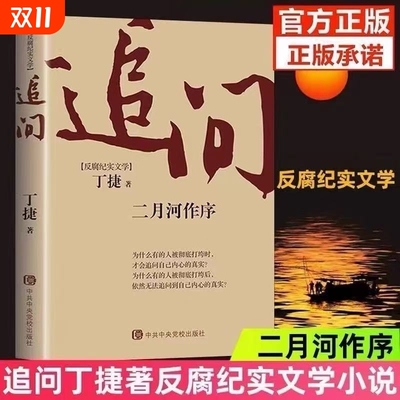 追问丁捷反腐败官场小说官场小说反腐纪实文学反腐警示录国家行动同名电视剧张译主演原著小说