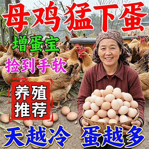 鸡下蛋专用蛋多多增蛋宝鸭鹅鸽子下蛋饲料禽用产蛋王催蛋素鸟谷子