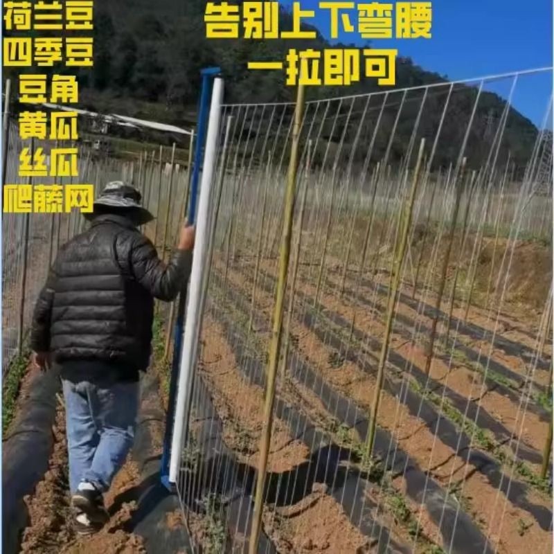 豆乐爬藤网瓜豆豌豆网豇豆豆角免挂线厂家批发黄瓜,农机/农具/农膜,其它农用工具,淘宝优惠券,粉丝福利购,淘宝优惠卷