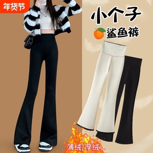 145cm小个子微喇鲨鱼裤女秋冬季加绒2025新款显瘦瑜伽喇叭裤.外穿