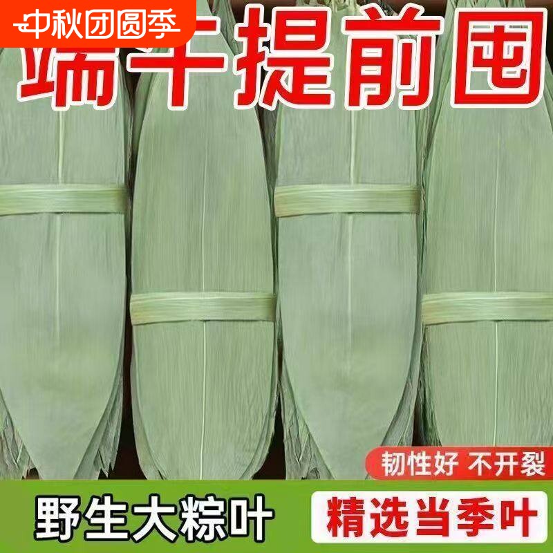 粽子叶粽叶干大号棕叶新鲜包粽子的竹叶子干粽叶商用箬叶材料图片