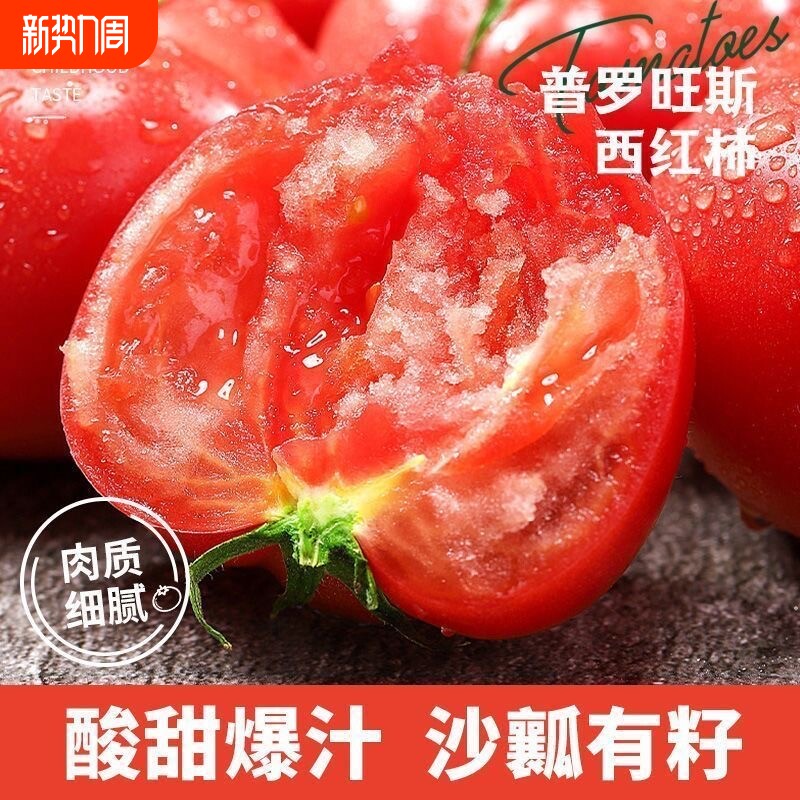 正宗普罗旺斯沙瓤西红柿农家大番茄新鲜沙瓤自然成熟现摘现发生吃