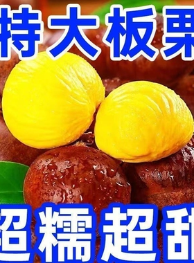 产地直发正宗新鲜生丹东板栗栗子锥油栗仁蔬罗田去壳大板栗鲜板栗