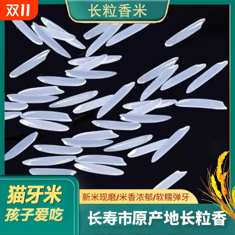 2024年新米猫牙长粒香米大米丝苗米原生态农家米煲仔饭炒饭原粮