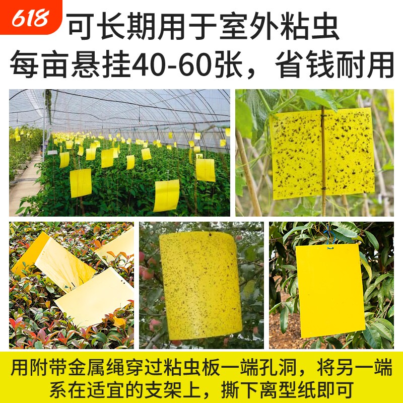 双面粘虫板黄板果蝇诱虫板菜地驱虫神器驱蚊蝇针蜂果树强力蚊子