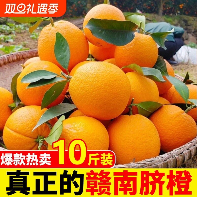 正宗赣南脐橙江西当季现摘新鲜橙子果园农场直发榨汁水果手剥甜橙