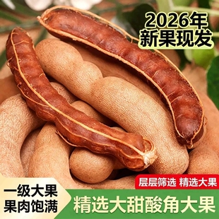 甜酸角云南特产新鲜野生大果罗望子孕妇零食酸角水果甜角酸甜好吃