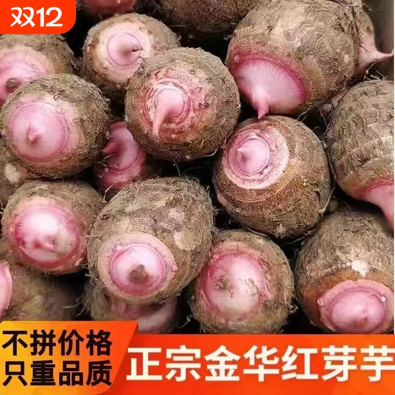 浙江金华牛奶芋当季新鲜小香芋红芽芋艿槟榔毛芋头蔬菜5斤更划算