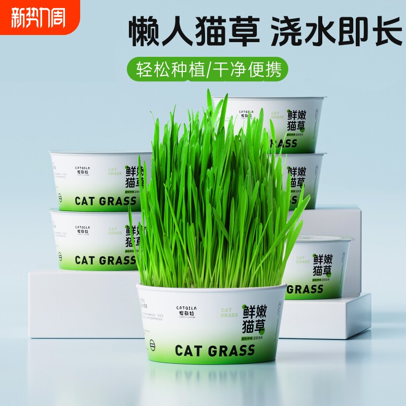 懒人种植猫草泡面杯盆栽土培盒吐毛球化毛猫咪零食用品水培泡面猫