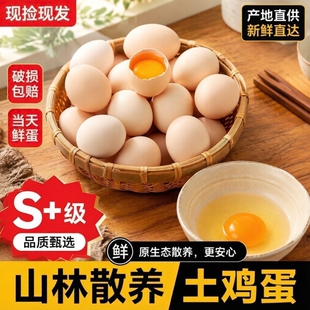 30枚！【好念头】S+级品质甄选可生食土鸡蛋