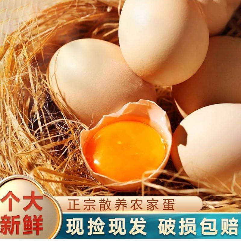 初生蛋新鲜谷物鸡蛋正宗农家柴鸡蛋土鸡蛋整箱现捡现发喂养优质