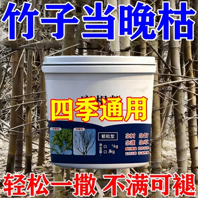 消竹子的药竹根连根清强力清竹根去除杂草灌木竹林树大面积开荒用