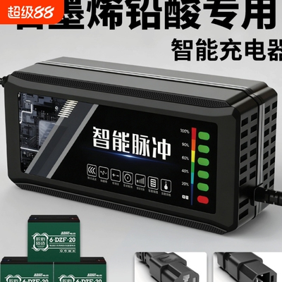 电动车充电器电瓶48V12AH60V20A72V35专用铅酸石墨烯电池超威天能