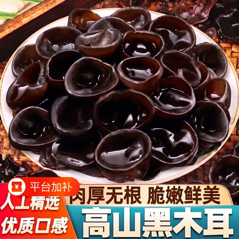 东北秋木耳干货长白山特产干黑木耳优质小碗耳凉拌新货肉厚无根